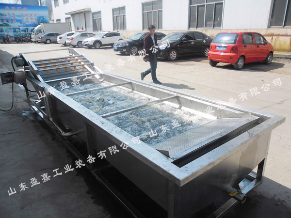 盈嘉全自動氣泡蔬菜清洗機(jī)