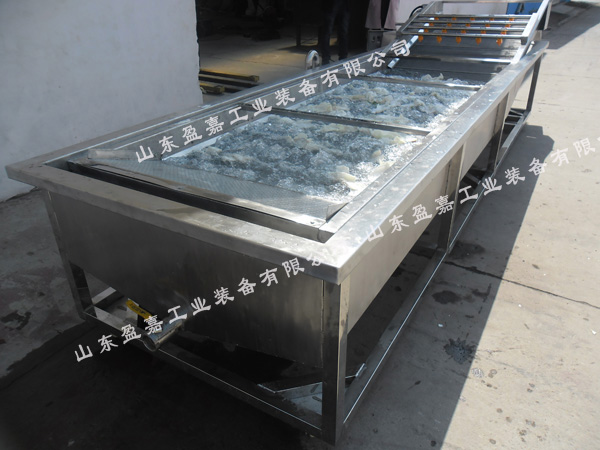 連續(xù)式蘑菇鼓泡清洗機(jī)，支持加工定制