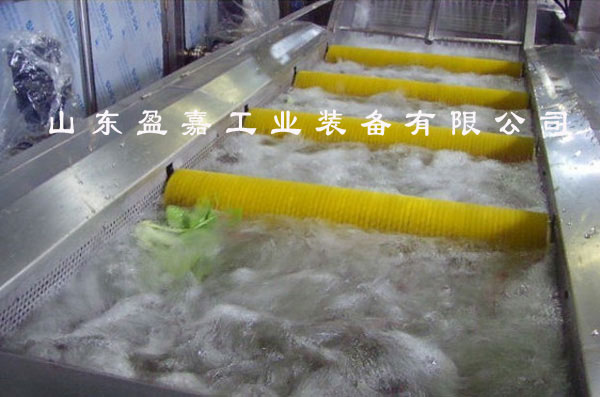 毛刷式毛發(fā)去雜蔬菜清洗機(jī)