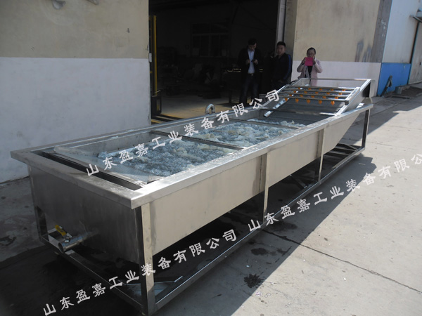 水果蔬菜通用型果蔬清洗機(jī)